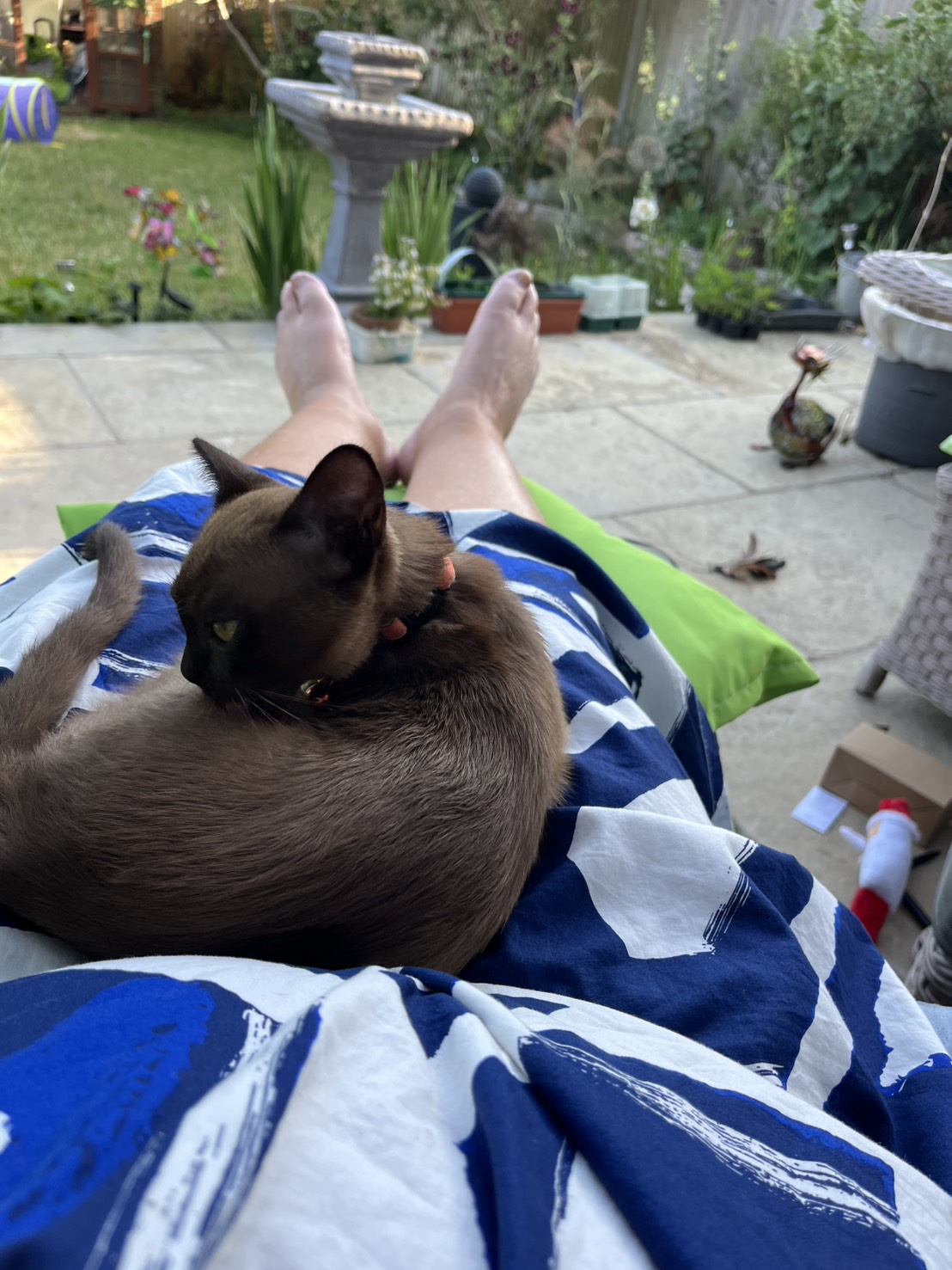 Grace Symphony counsellor Worthing humanistic therapy