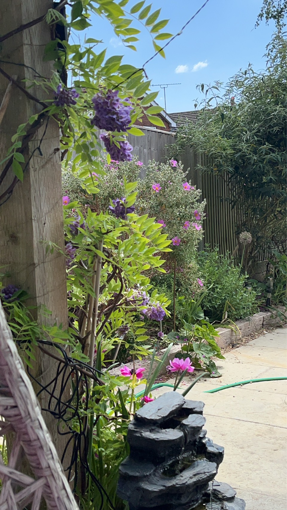 Counselling for anxiety and trauma online UK